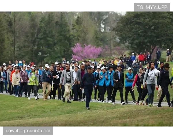 美巡赛大学排名更新，斯坦福大学继续领跑